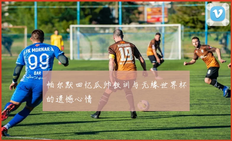 帕尔默回忆瓜帅教训与无缘世界杯的遗憾心情