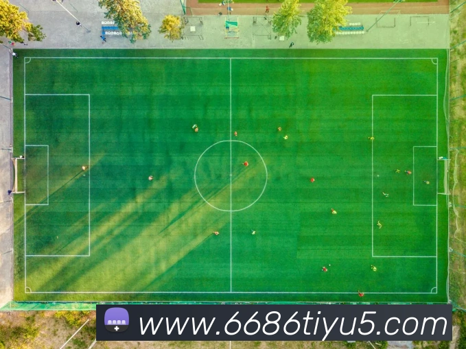 6686体育APP 封面图
